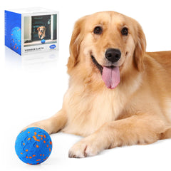 Zizimoko smart interactive dog toy ball for engaging play and curiosity.