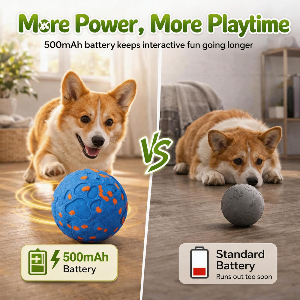 Zizimoko vibrating dog ball in motion for energetic exercise.