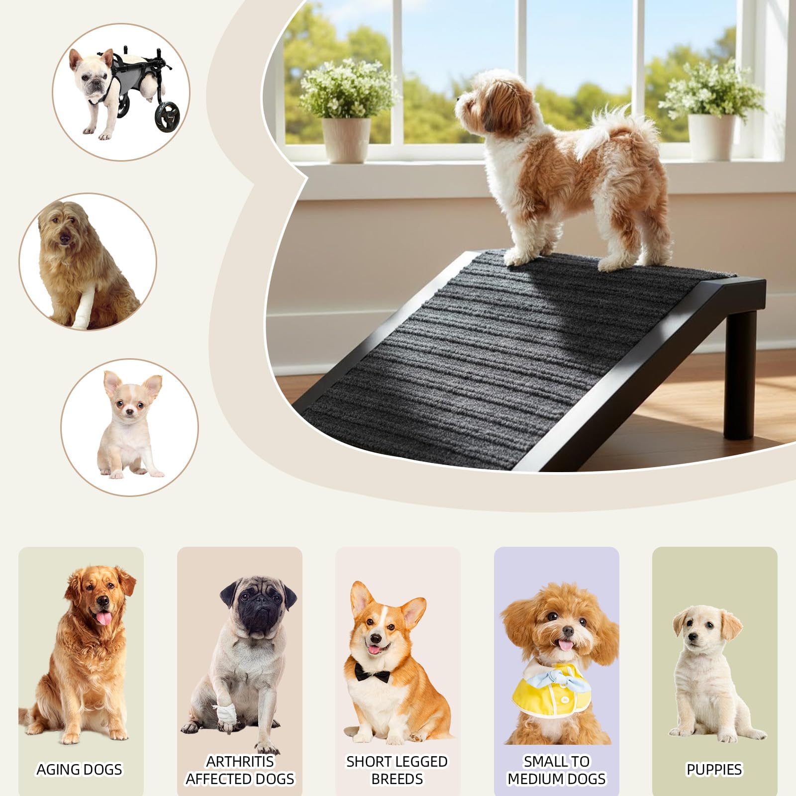 ZJDJEZJD portable pet ramp design enables quick setup anywhere in your home.