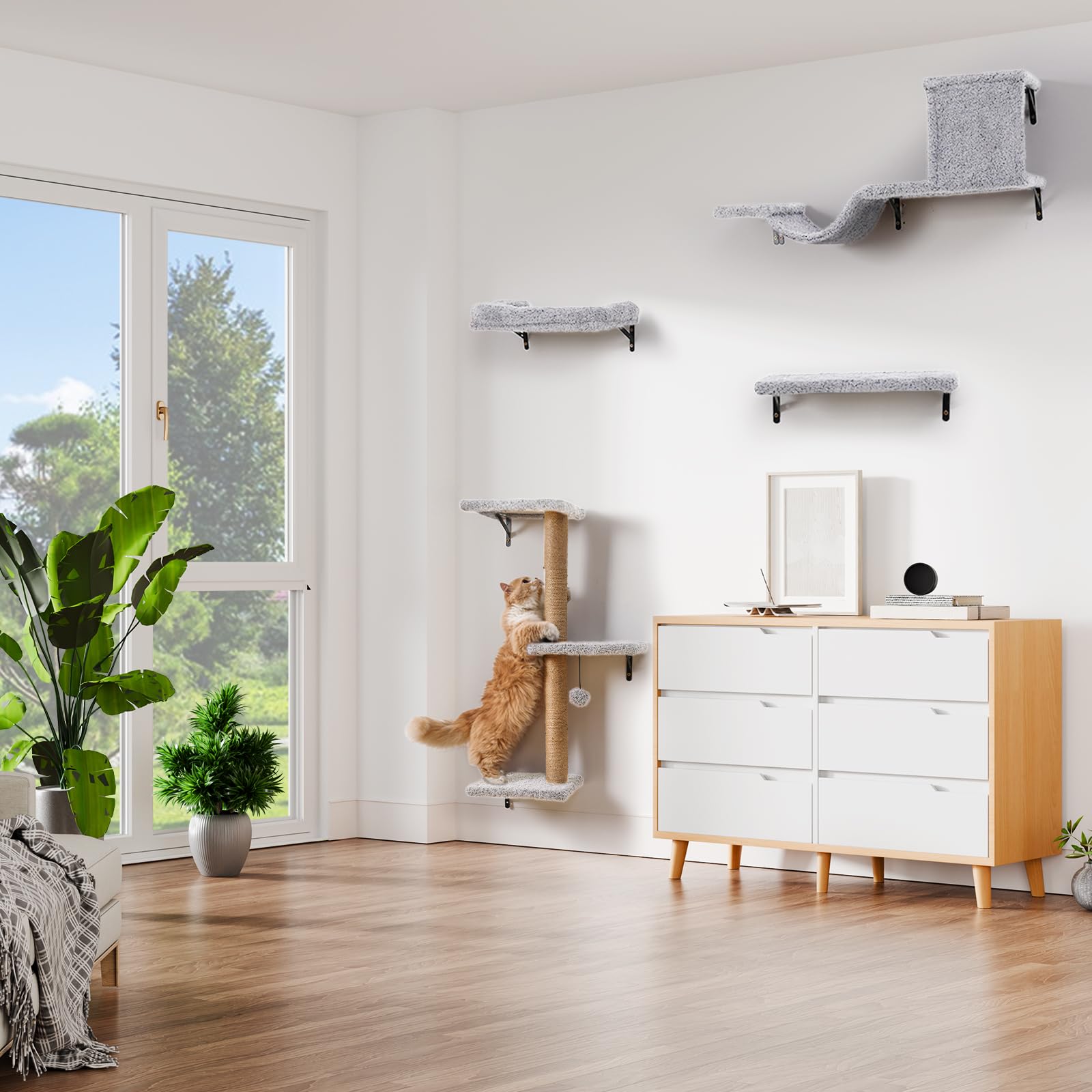ZLAFM shelves support up to 40 lbs for larger indoor cats