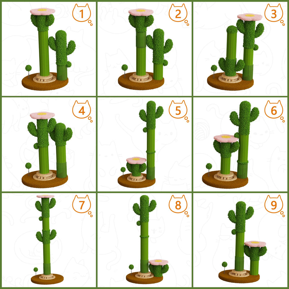 ZLAFM cactus flower-top perch blends with modern home decor