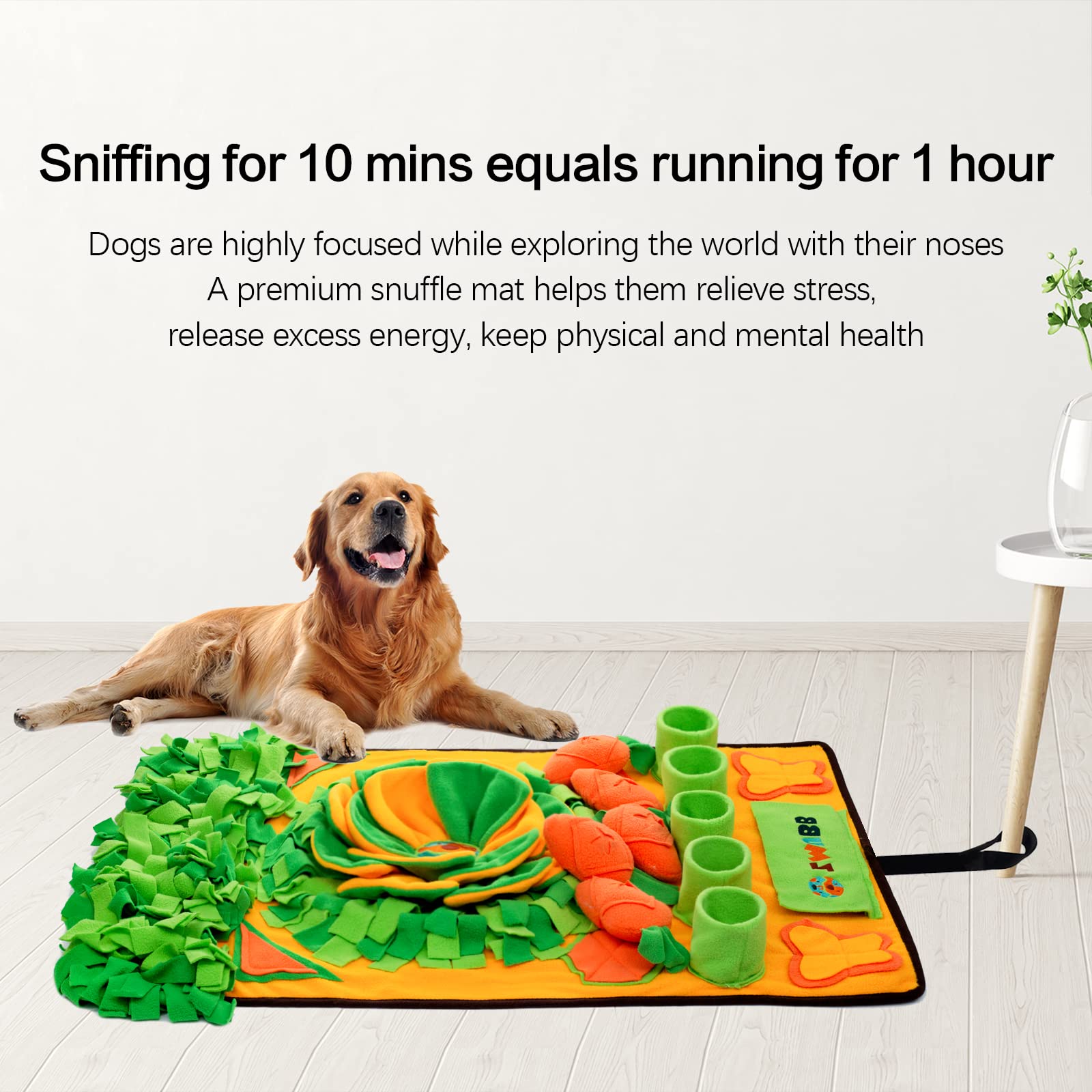 ZMUBB machine washable for quick cleanup after treats