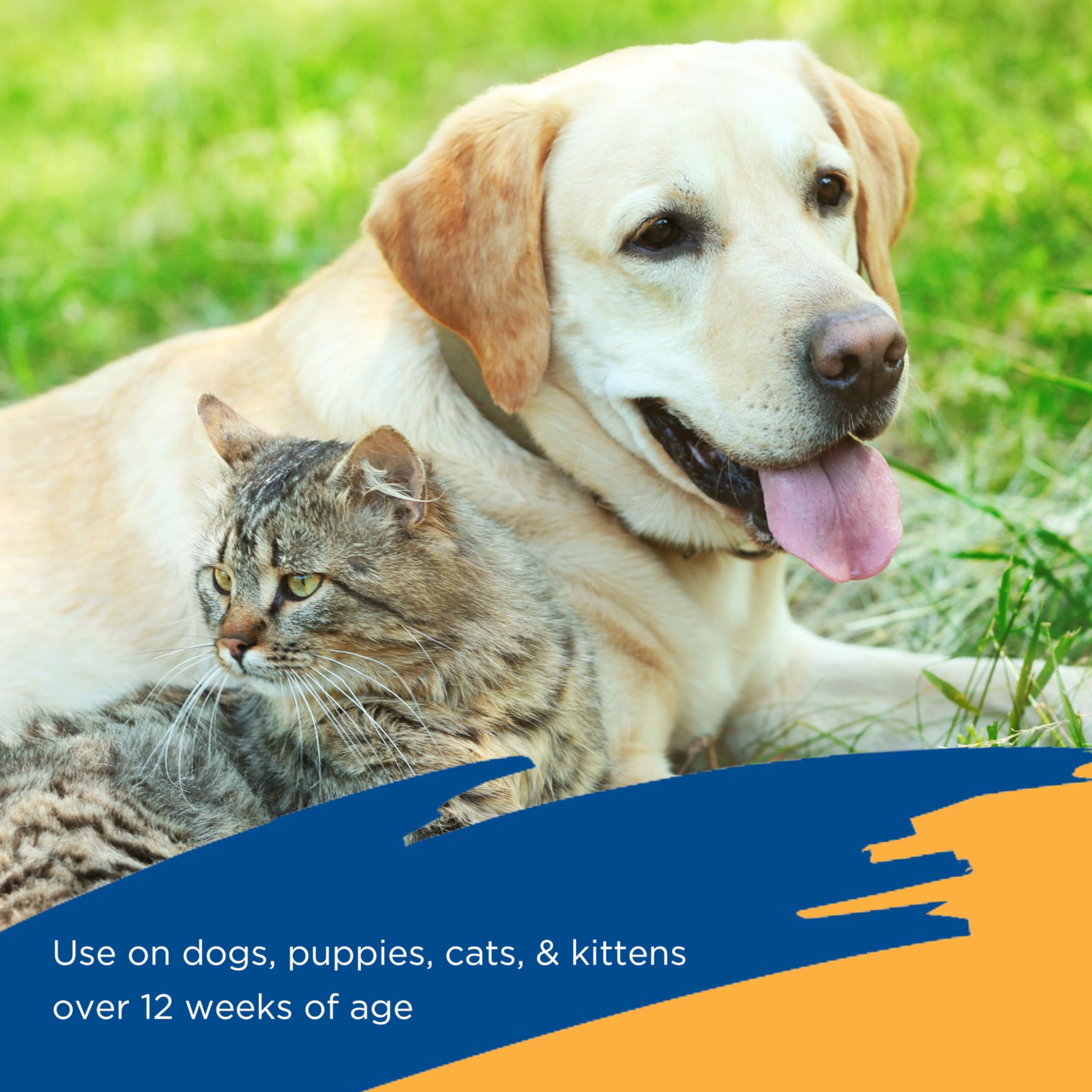 Zodiac Flea & Tick Spray for cats, convenient spray for feline pest protection.