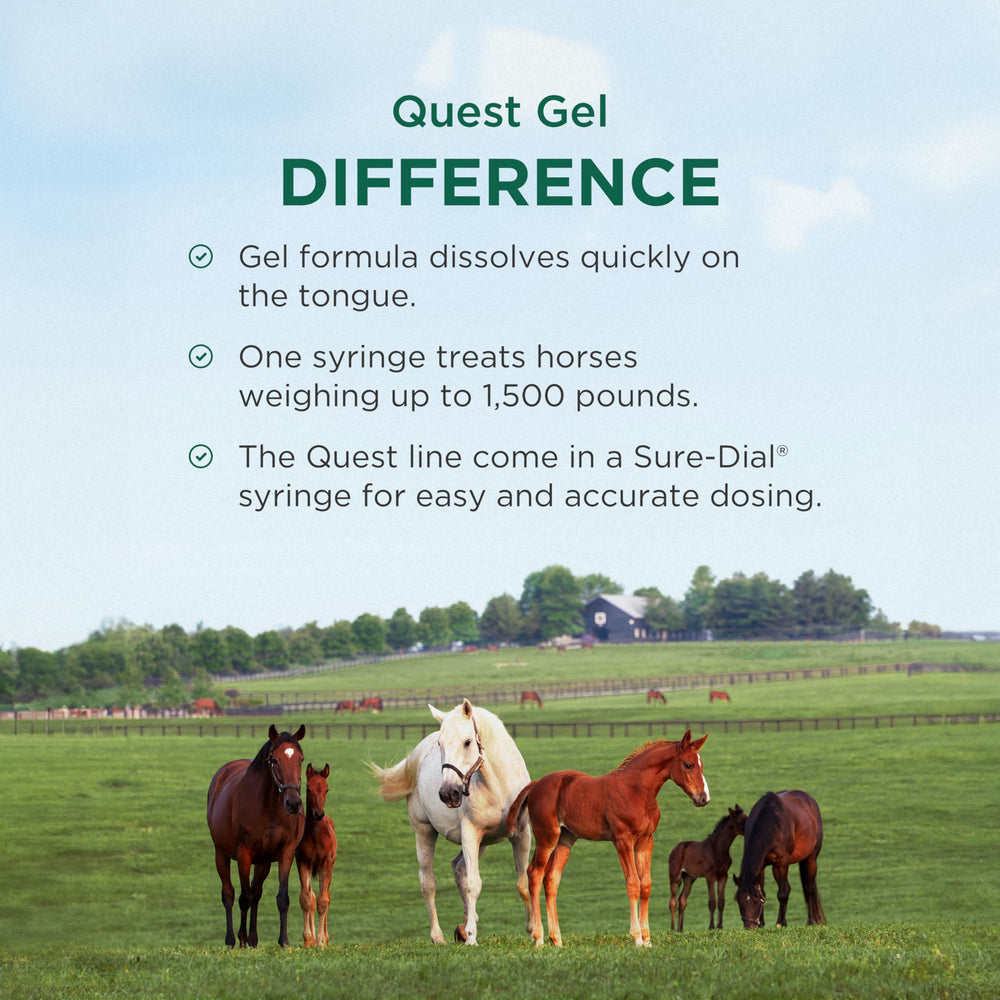 Zoetis Quest Gel label highlights breeding stallions use.