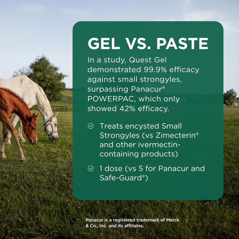 Zoetis Quest Gel horse dosing scene for early grazing season.