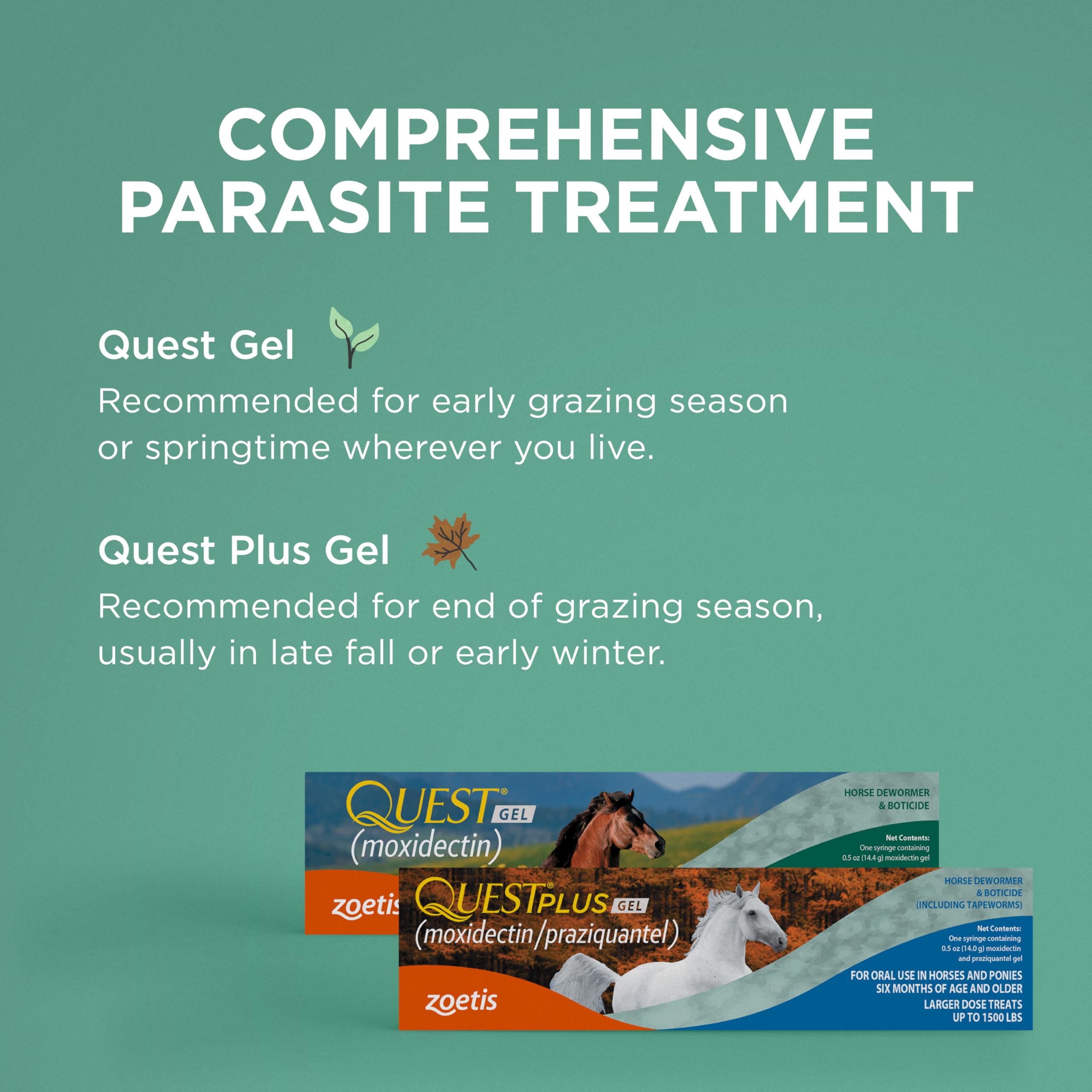 Zoetis Quest Gel ready-to-use syringe in field setting.