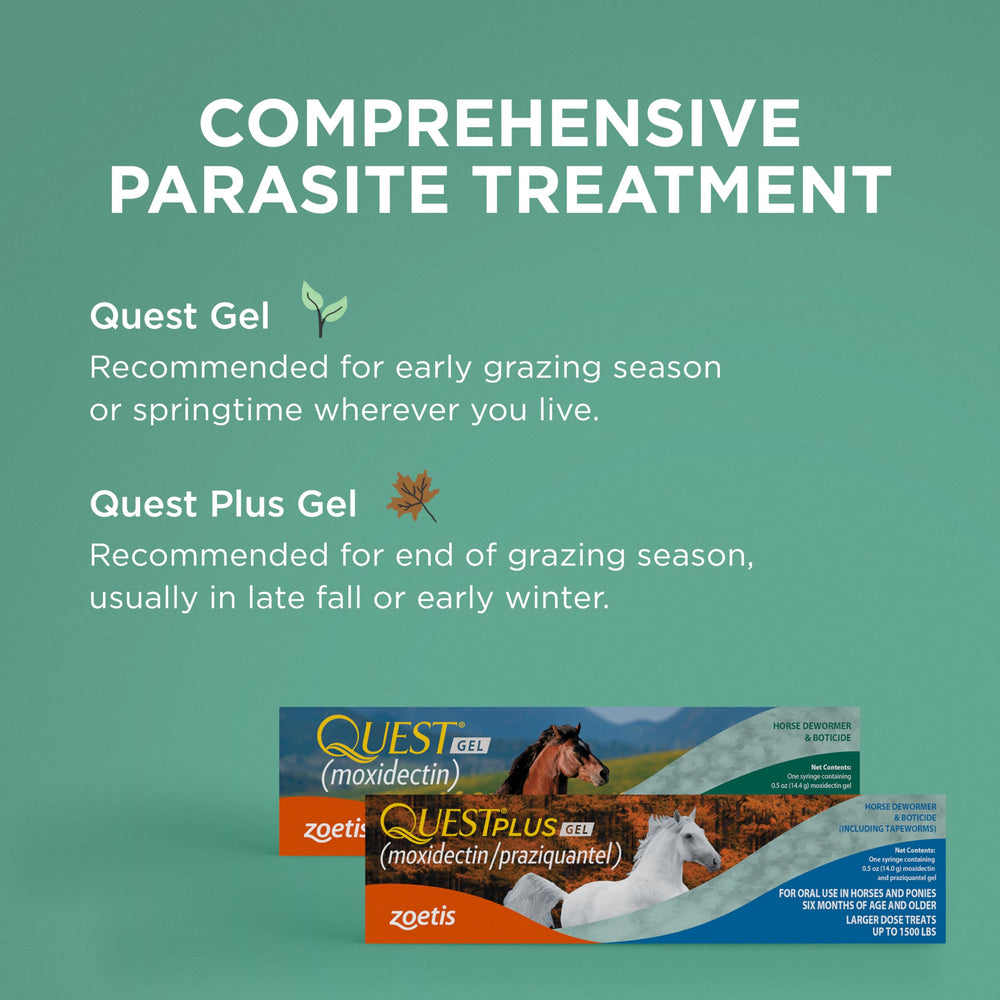 Zoetis Quest Gel ready-to-use syringe in field setting.