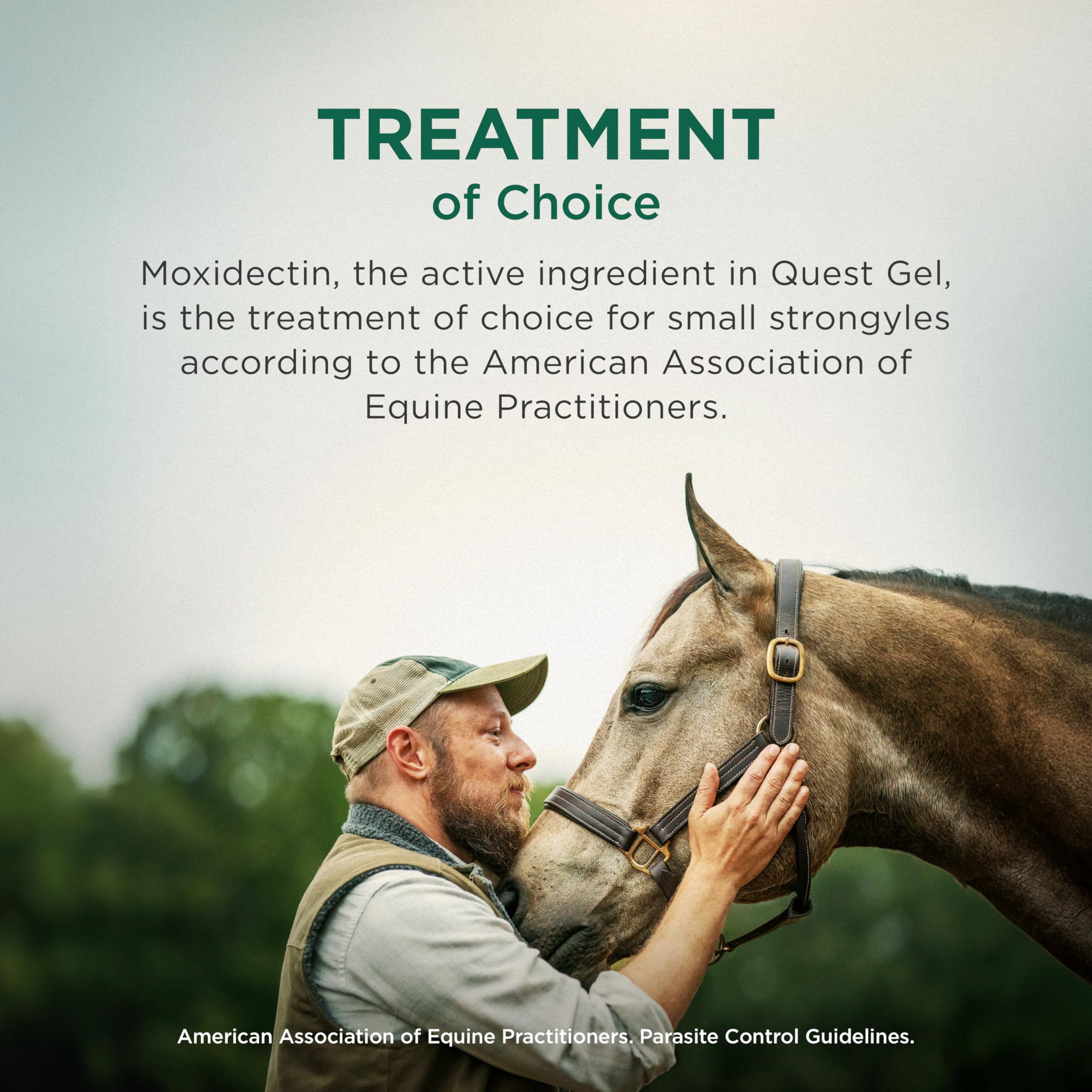 Zoetis Quest Gel tongue-dissolves for quick intake during administration.