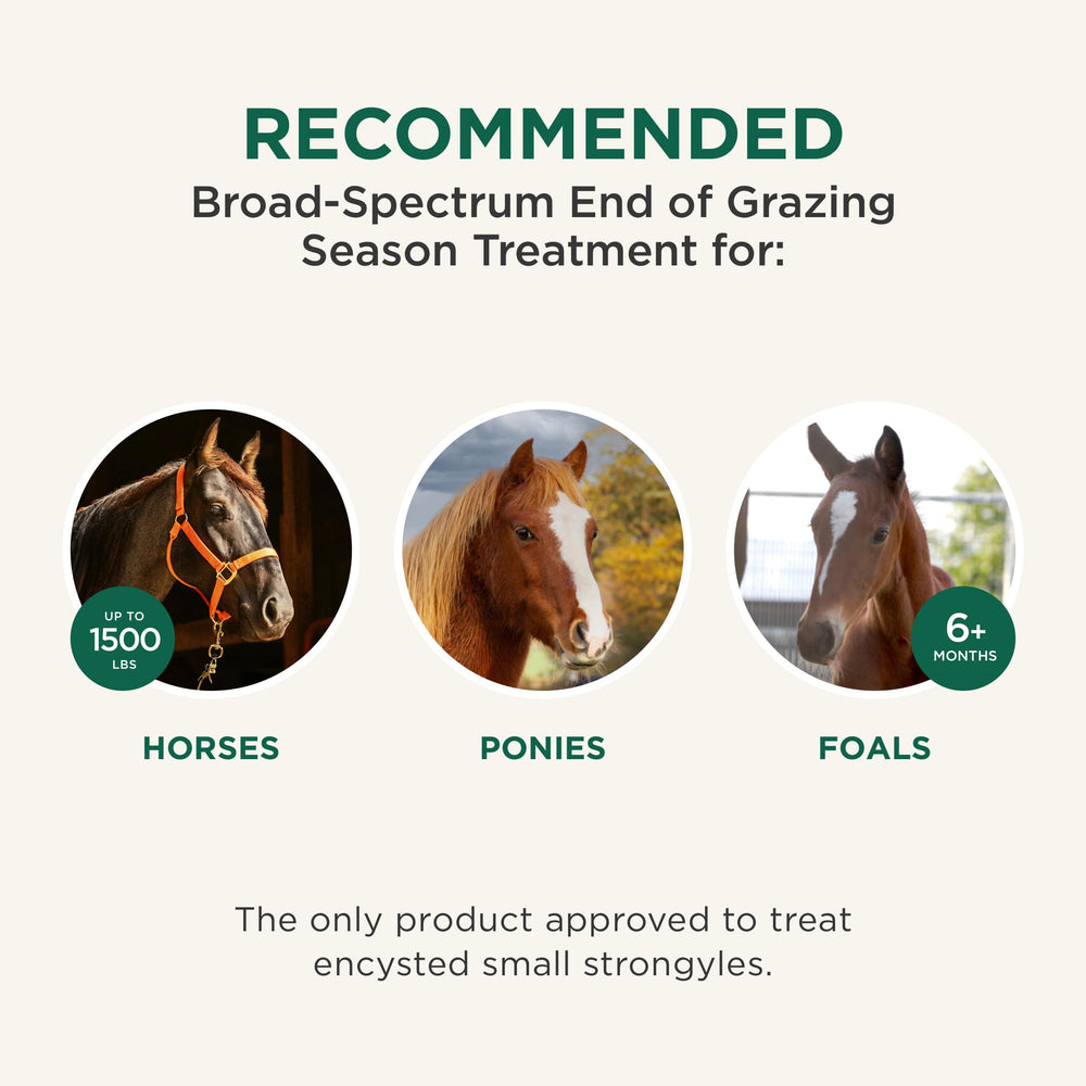 Approved for pregnant and nursing mares when directed