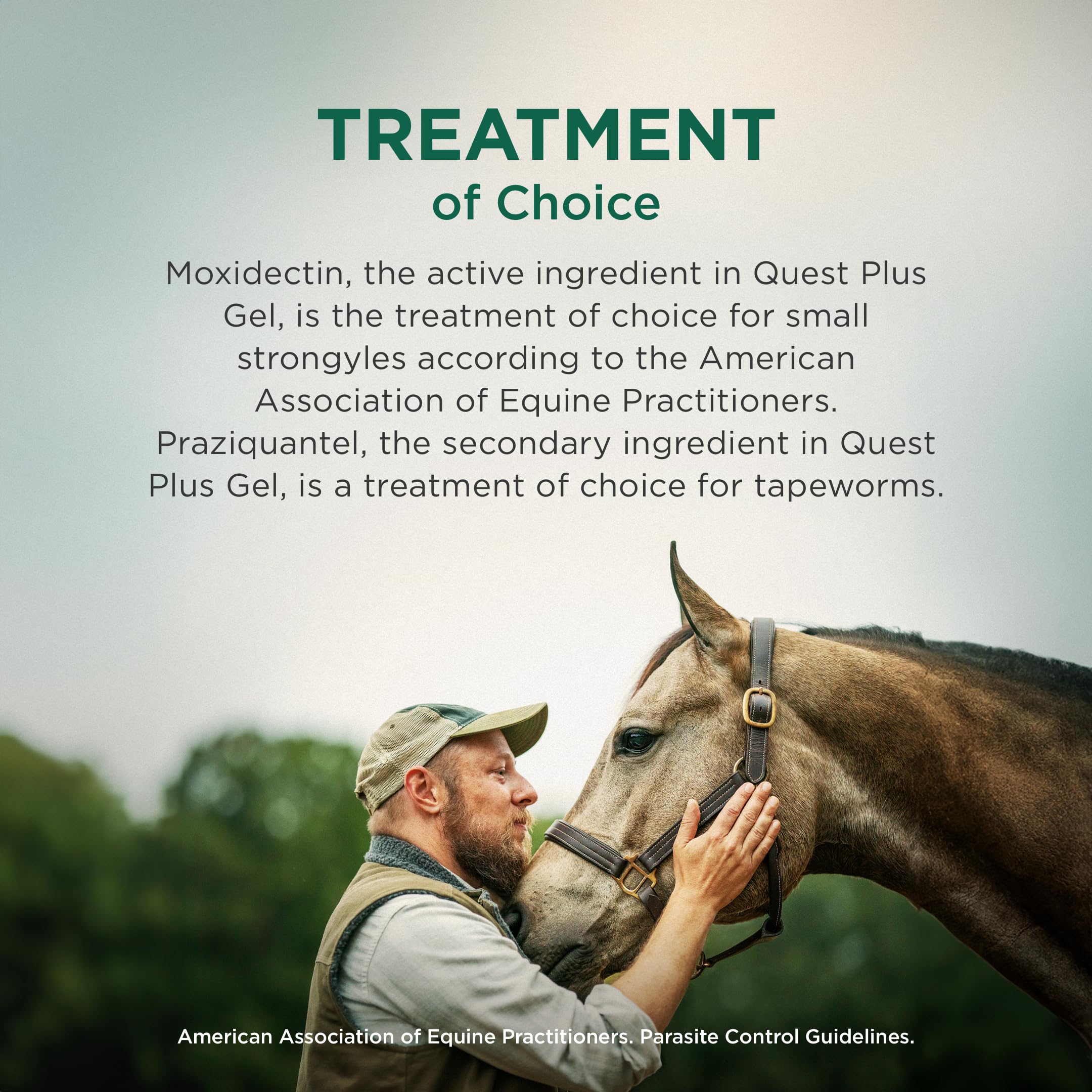 Broad-spectrum coverage of common horse parasites