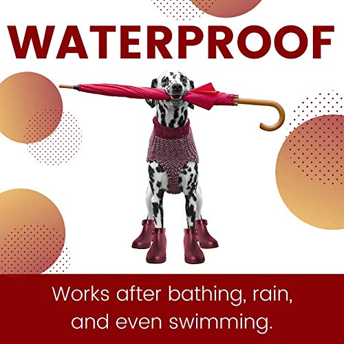 ZoGuard Plus drops applied on dog's coat for quick protection.
