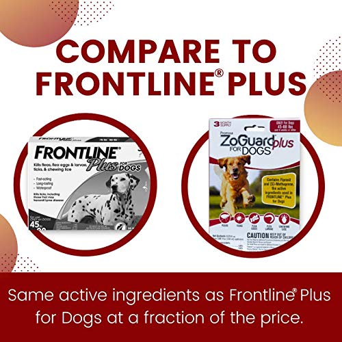 ZoGuard Plus bottle front highlights waterproof flea and tick prevention for active dogs.