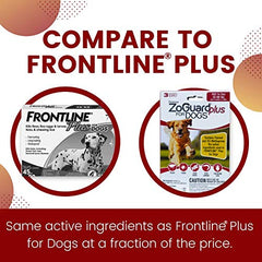 ZoGuard Plus bottle front highlights waterproof flea and tick prevention for active dogs.