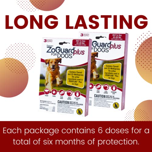 ZoGuard Plus waterproof formula supports outdoor play after application.