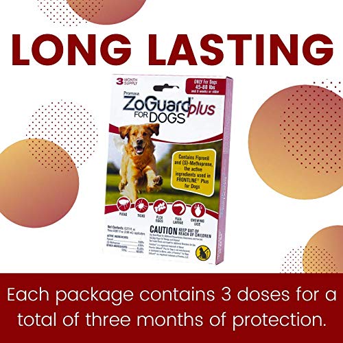 Large dog sized coverage for dogs 45-88 lb with ZoGuard Plus.