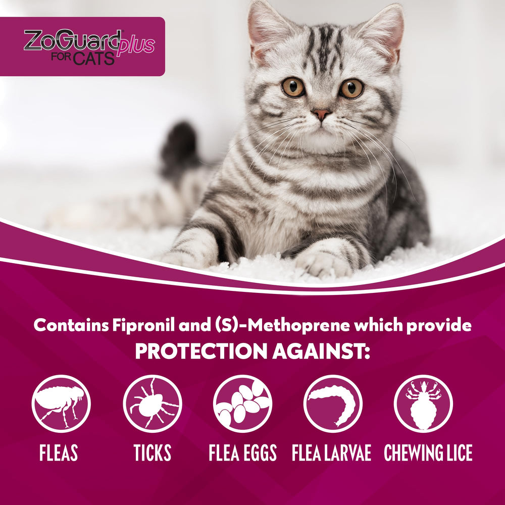 ZoGuard Plus waterproof formulation shown after bath, continuing protection.