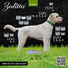 ZOLITTA 4WF blade top view highlights high-carbon steel edge for durability.