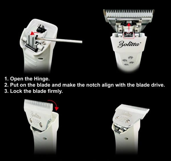 ZOLITTA professional groomer use in studio with premium tools