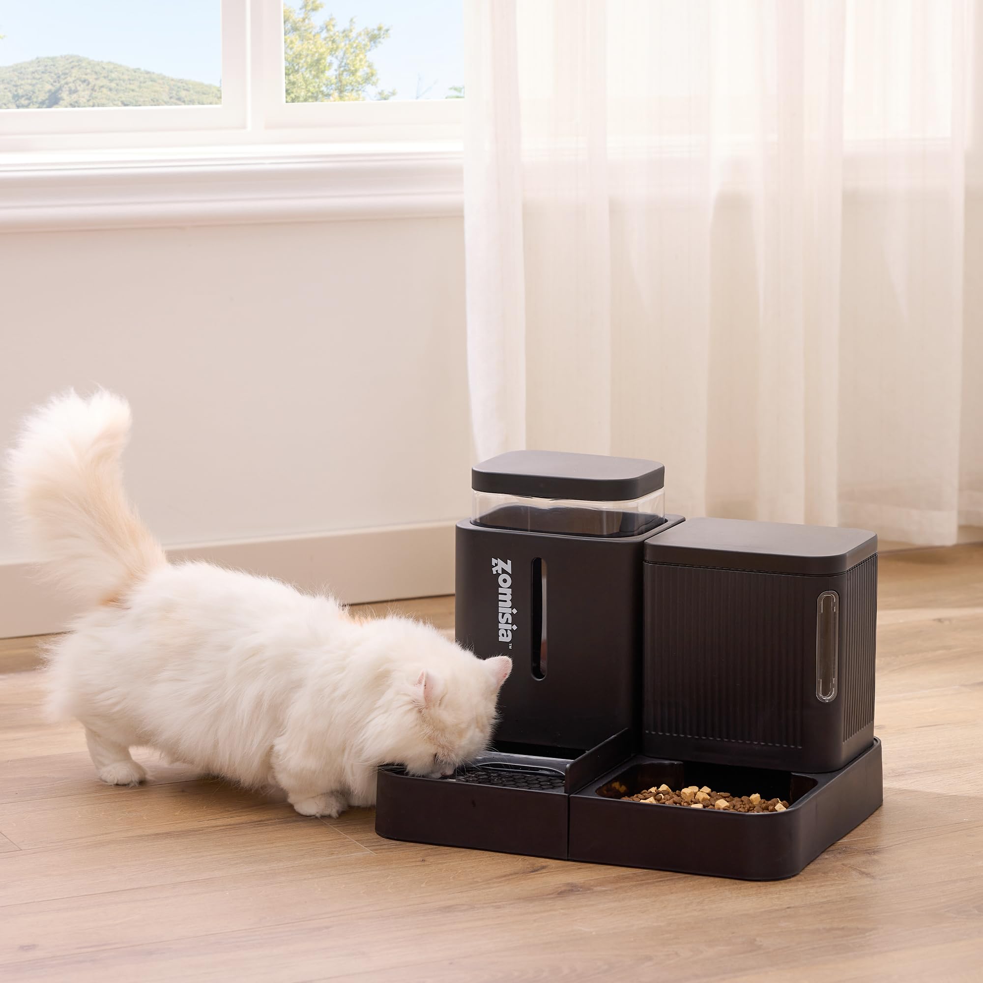 Zomisia black dual pet feeder setup positioned in a cozy home corner.