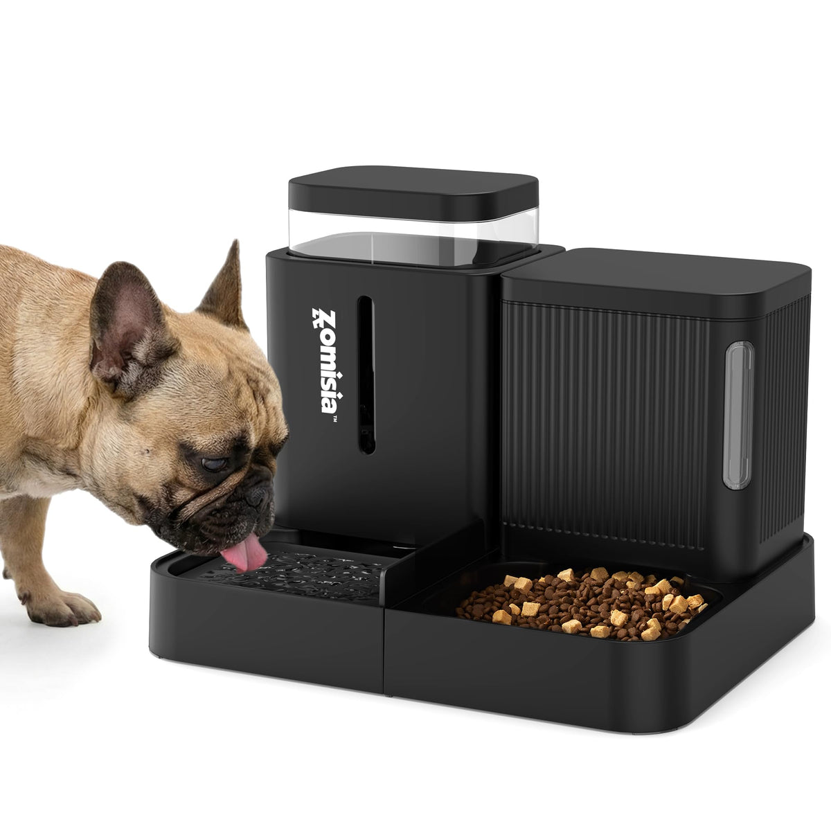 Zomisia gravity-feeder and water-dispenser 2in1 on counter for easy daily feeding.