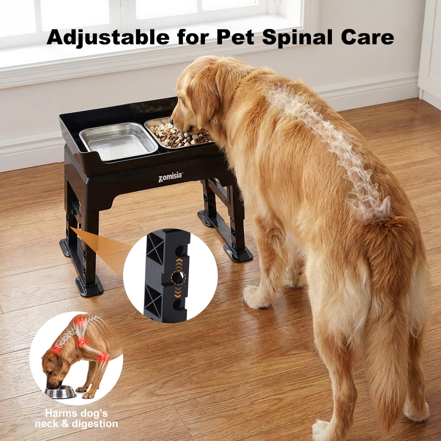 Zomisia six-height settings fit puppies to large dogs for comfortable meals.