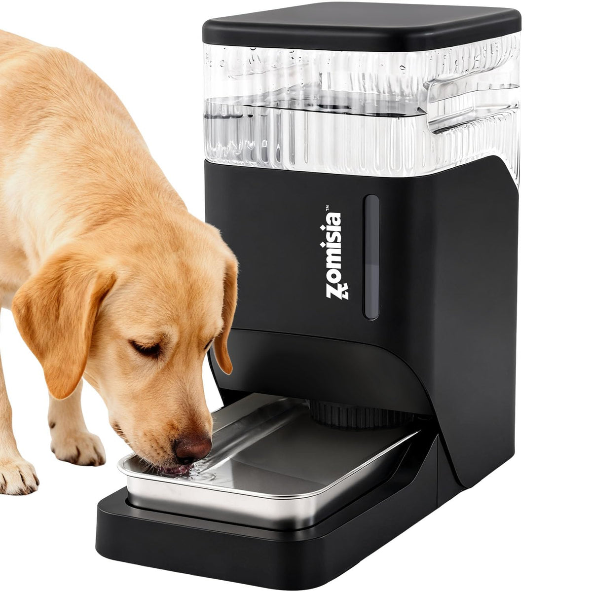 ZOMISIA 8L automatic dog water dispenser keeps dogs hydrated with gravity flow.