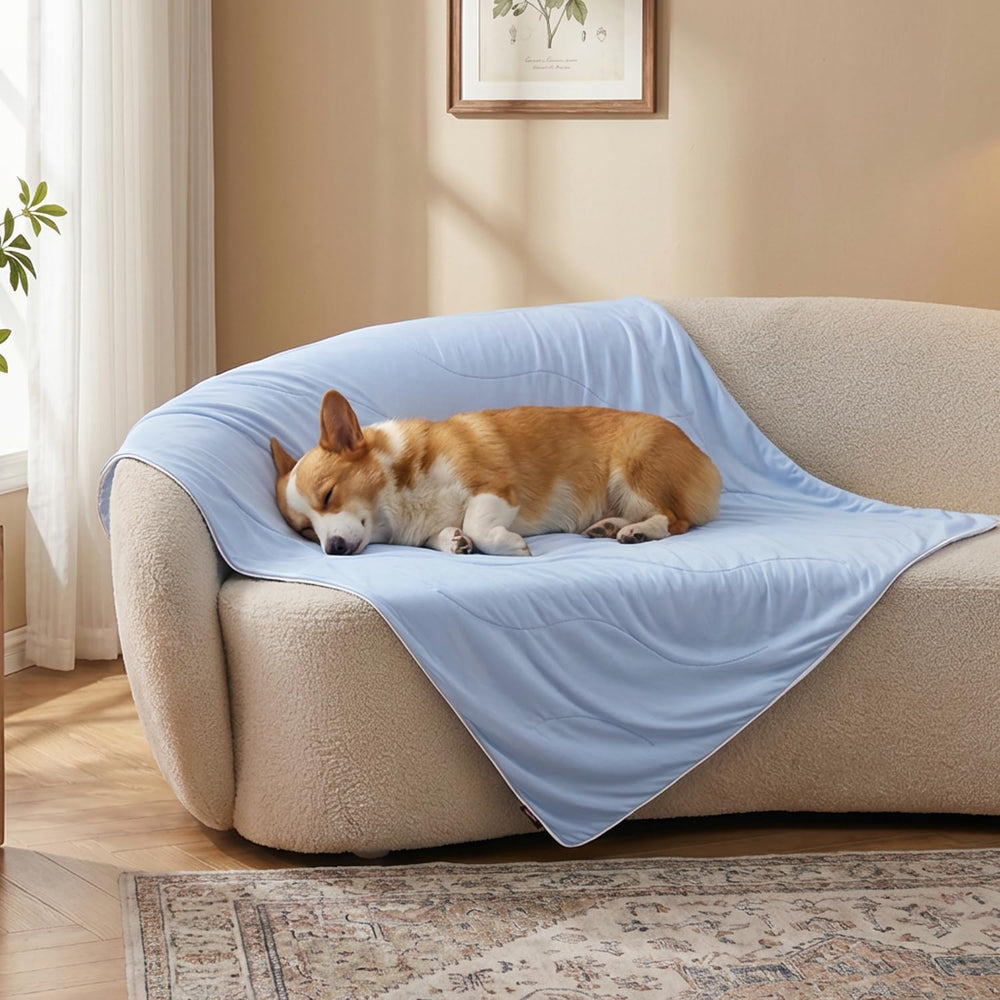 ZOMISIA cooling blanket for medium dogs blue on sofa keeps pets cool