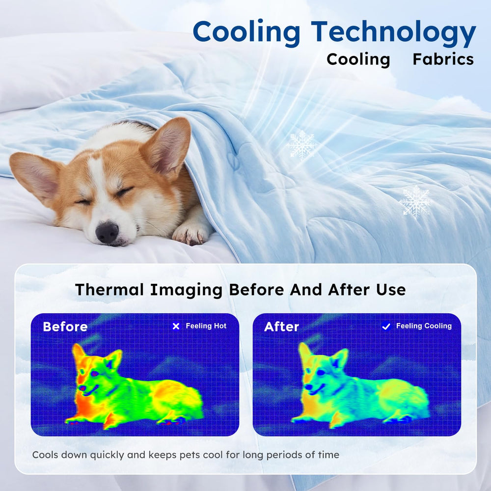 ZOMISIA edge-reinforced stitching for durable pet use.