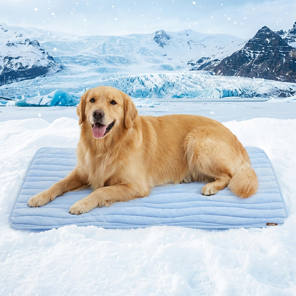 ZOMISIA XXL blue dog cooling mat offers instant cooling on contact.