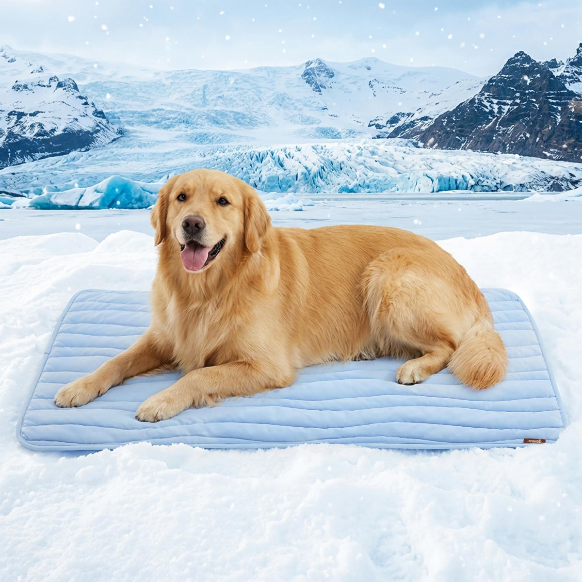 ZOMISIA XXL blue dog cooling mat offers instant cooling on contact.