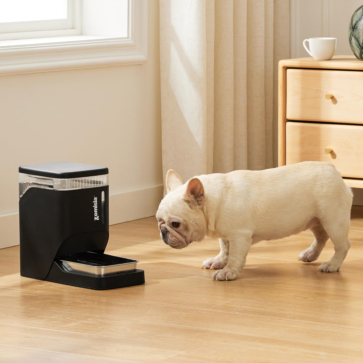 ZOMISIA easy-clean removable tank supports quick maintenance and hygienic hydration.