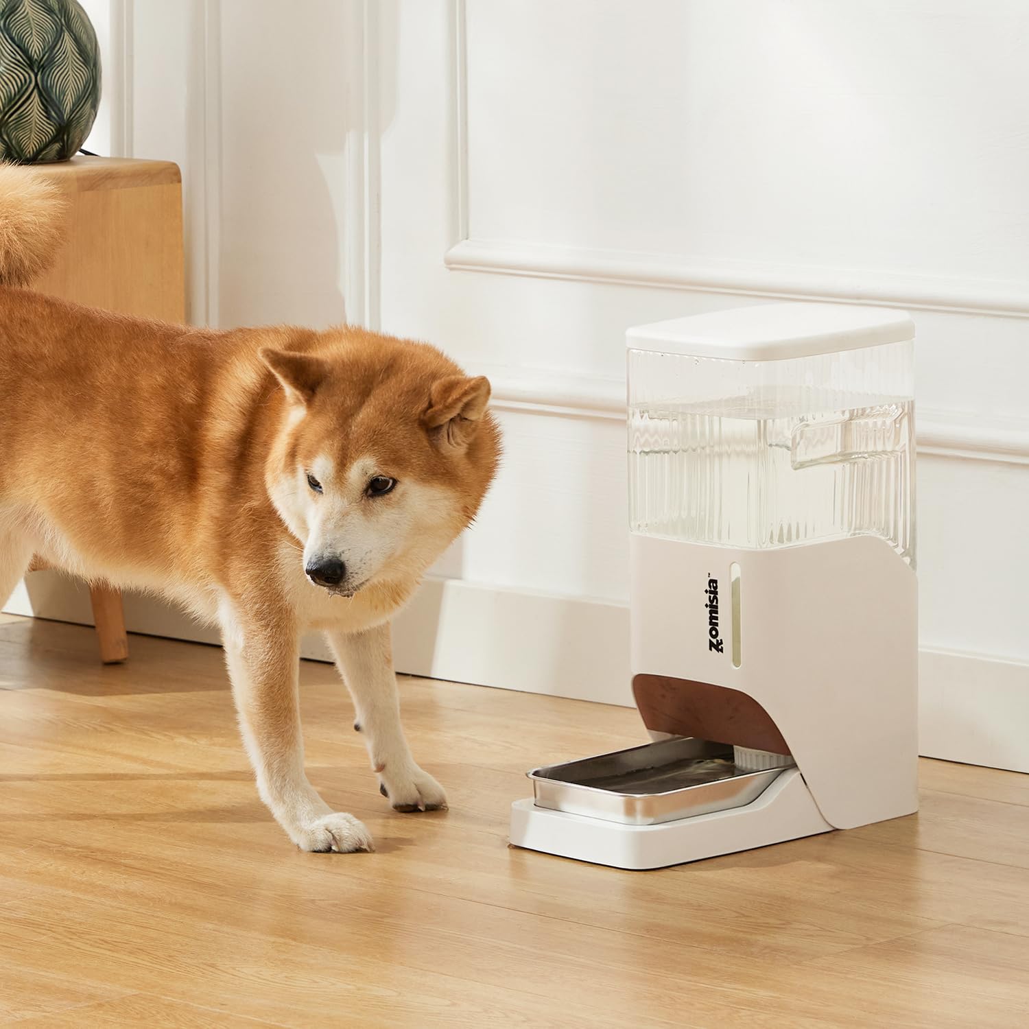 ZOMISIA removable tank allows quick cleaning and refilling.