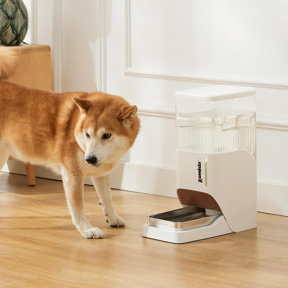 ZOMISIA removable tank allows quick cleaning and refilling.