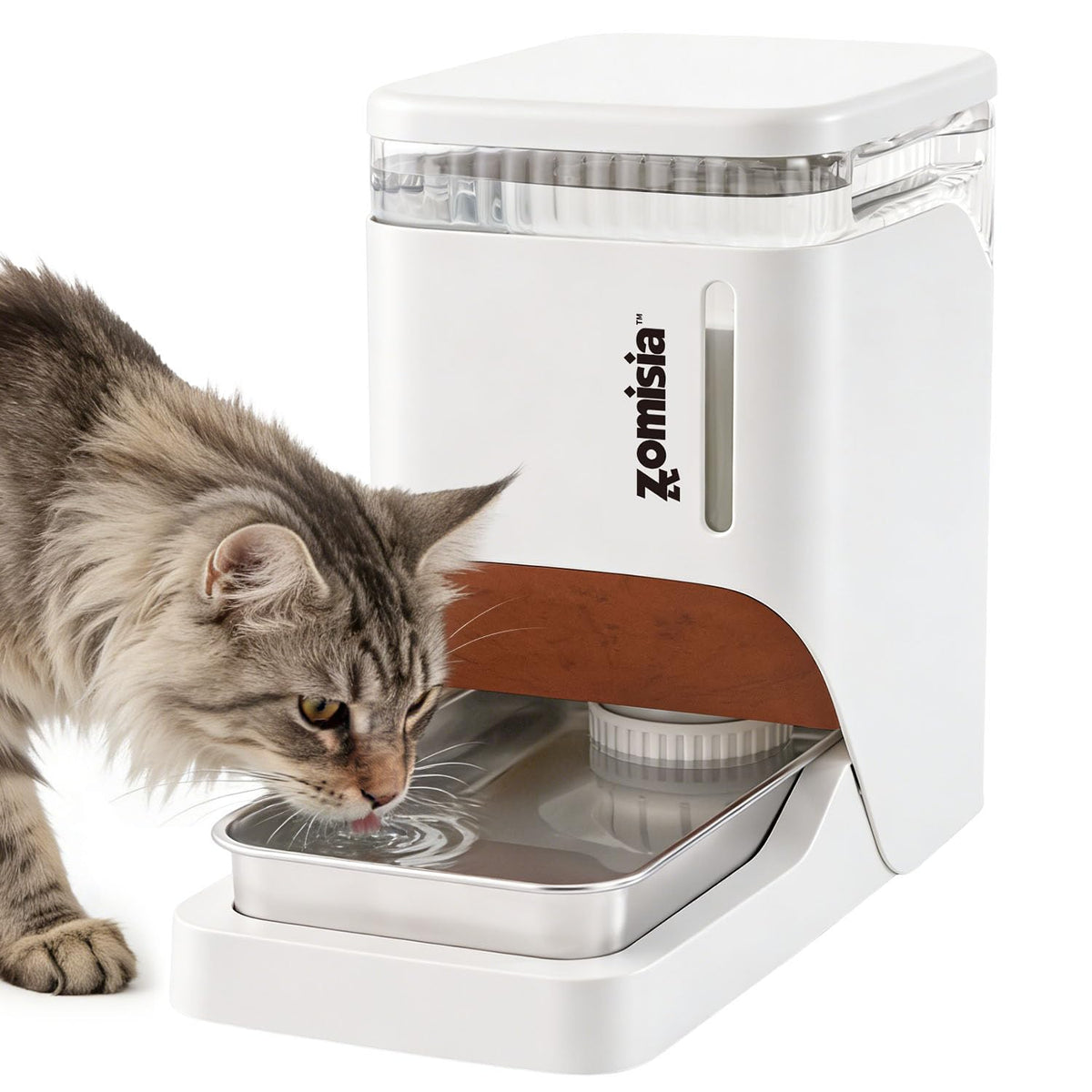 ZOMISIA gravity cat water dispenser 6L shown with a clean, large-capacity reservoir for pet hydration.