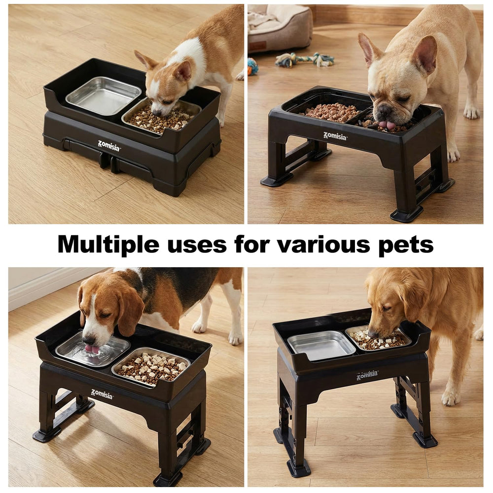 Zomisia mess-proof feeding station maintains a tidy home feeding area.