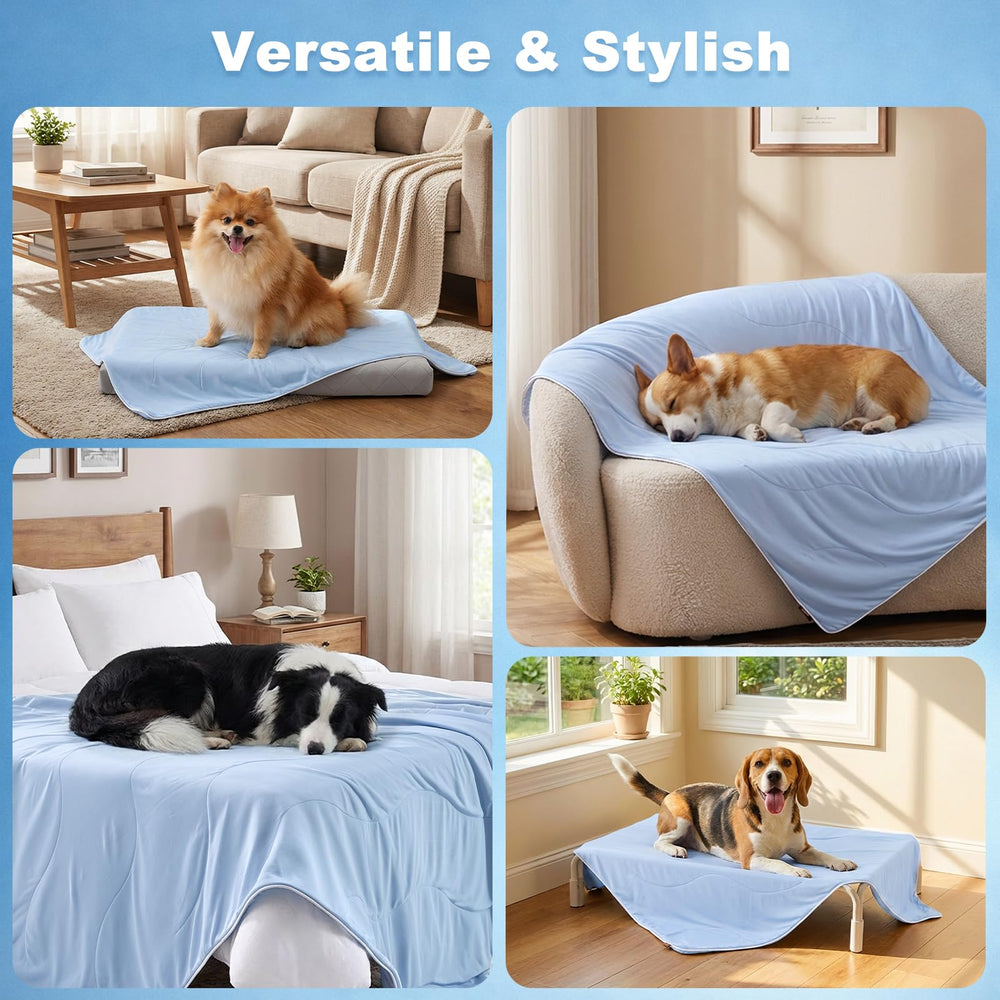 Soft bed cover protects furniture while keeping pets comfortable