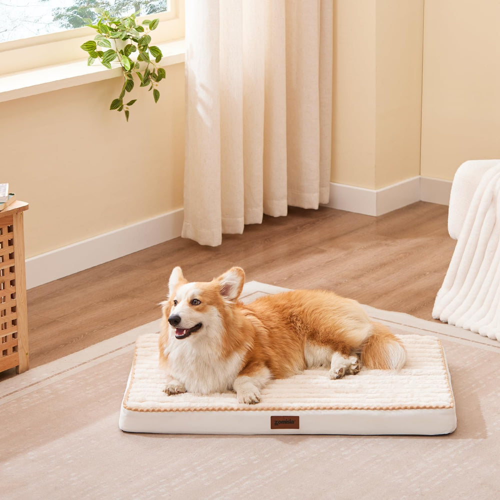 ZOMISIA orthopedic-like support maintains shape for long-lasting comfort.