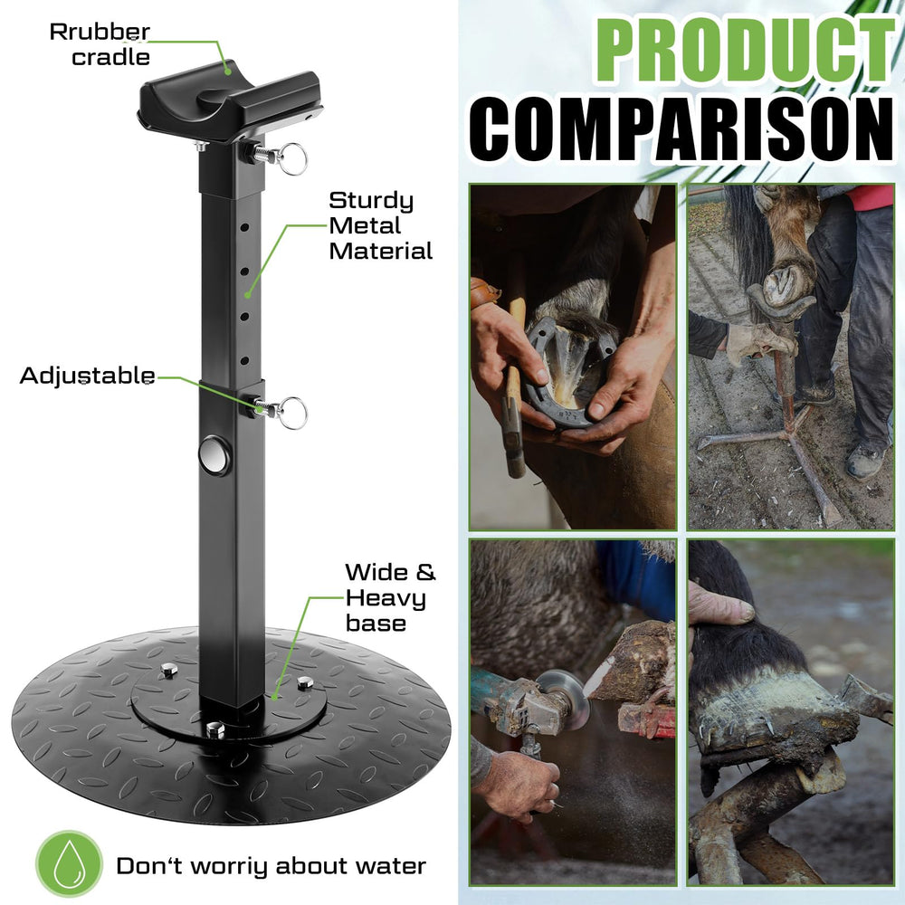Zonon farrier stand in-use during hoof trimming reduces hand fatigue.