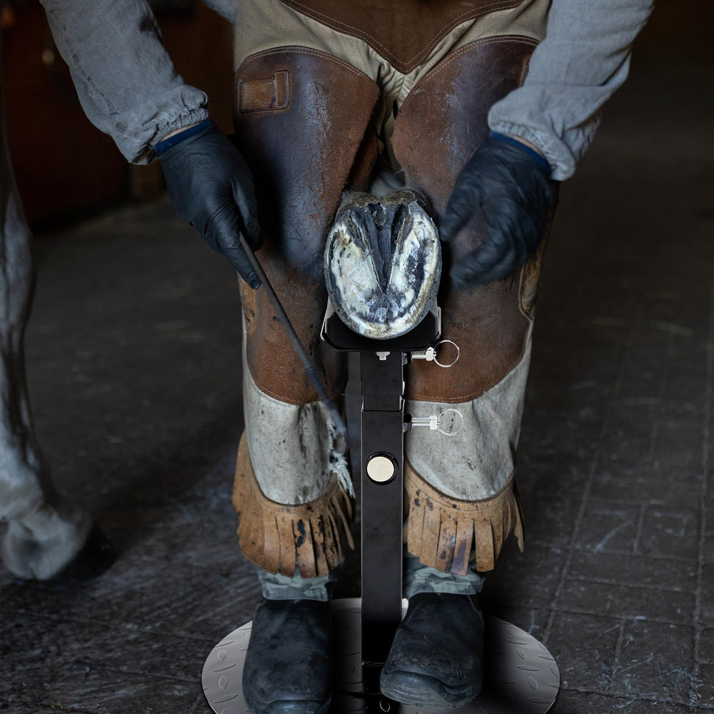 Zonon farrier stand supports horses, cattle, donkeys, and sheep efficiently.