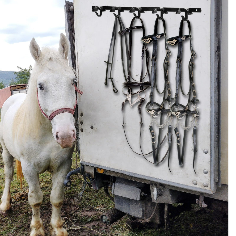 Zonon horse gear installation showing easy wall mounting.