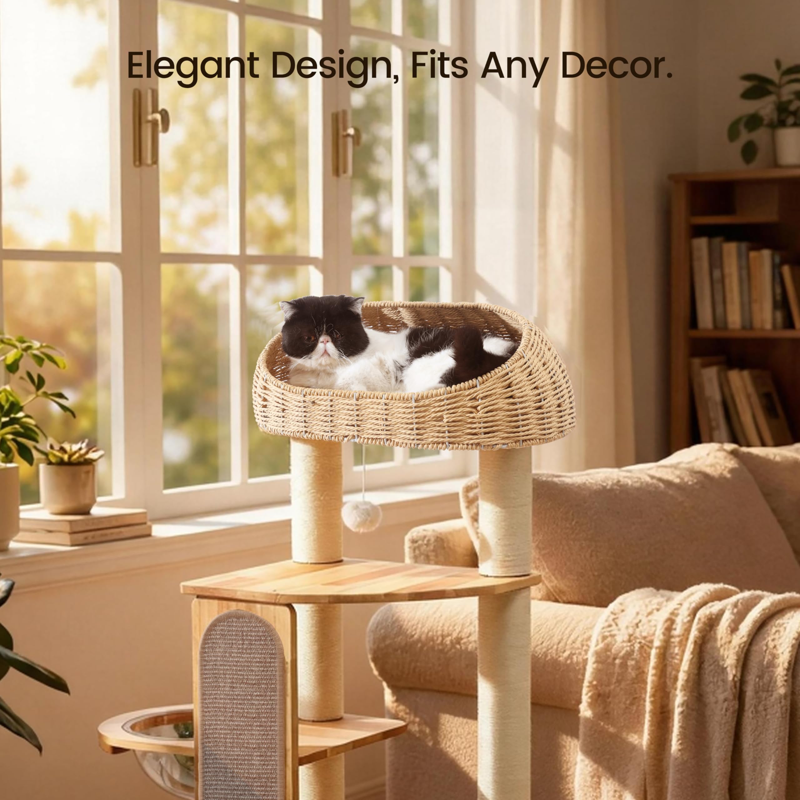 Zonoria Zephyria step-by-step assembly with visuals makes setup simple