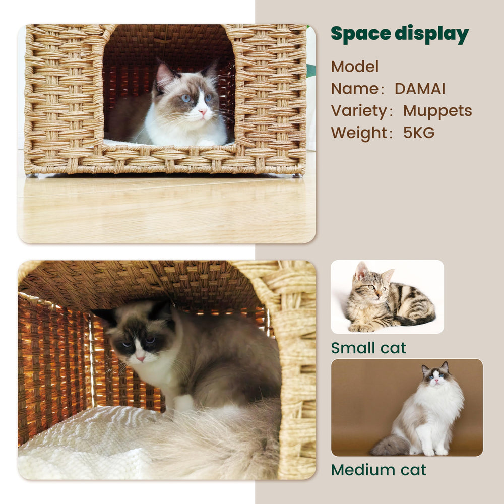 Zonoria Zephyria two private hideaways with entrances for individual cats.