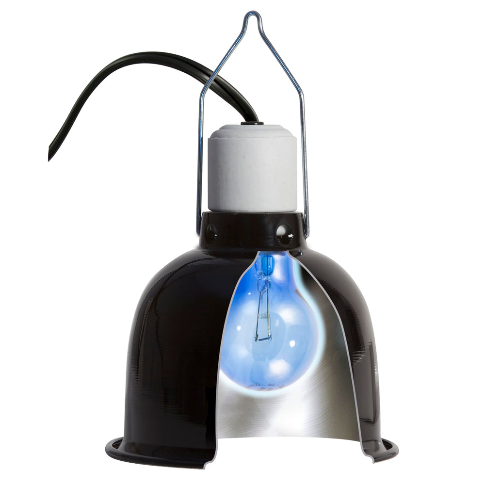 Zoo Med daylight blue bulb horizontal hood fit for versatile setups.