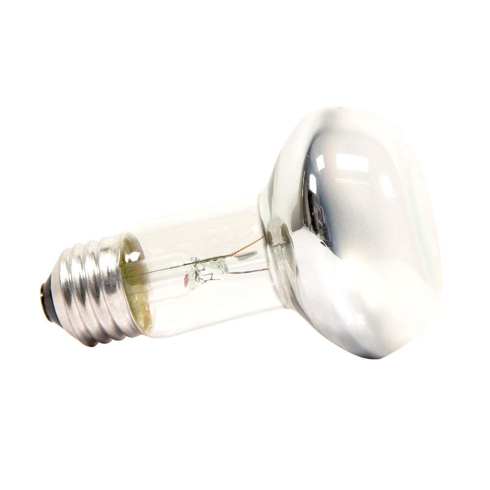 Zoo Med Repti Basking Spot Lamp 75W installed in terrarium fixture for precise basking