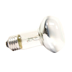 Zoo Med Repti Basking Spot Lamp 75W installed in terrarium fixture for precise basking