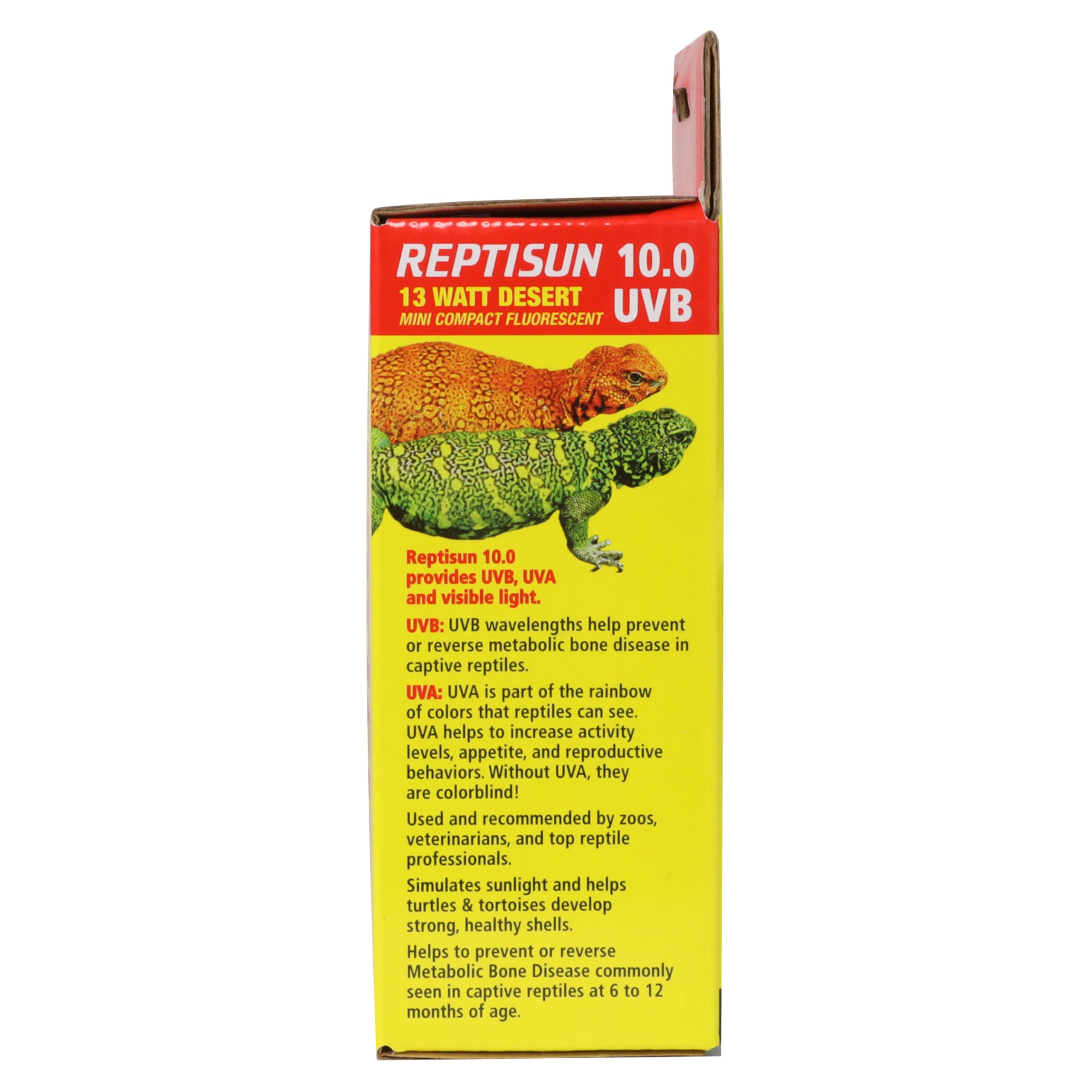Zoo Med ReptiSun 10.0 Mini with quartz glass for UVB penetration.