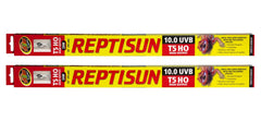 Zoo Med ReptiSun 10.0 UVB T5 lamp for larger enclosures.