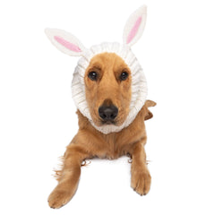 Zoo Snoods Bunny Costume on a dog, cozy knit look for chilly days.