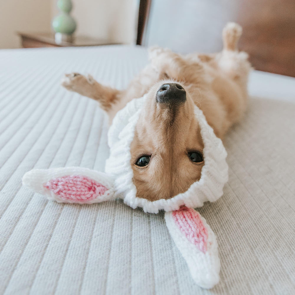 Zoo Snoods Bunny Costume for Halloween, cute festive look with easy movement.