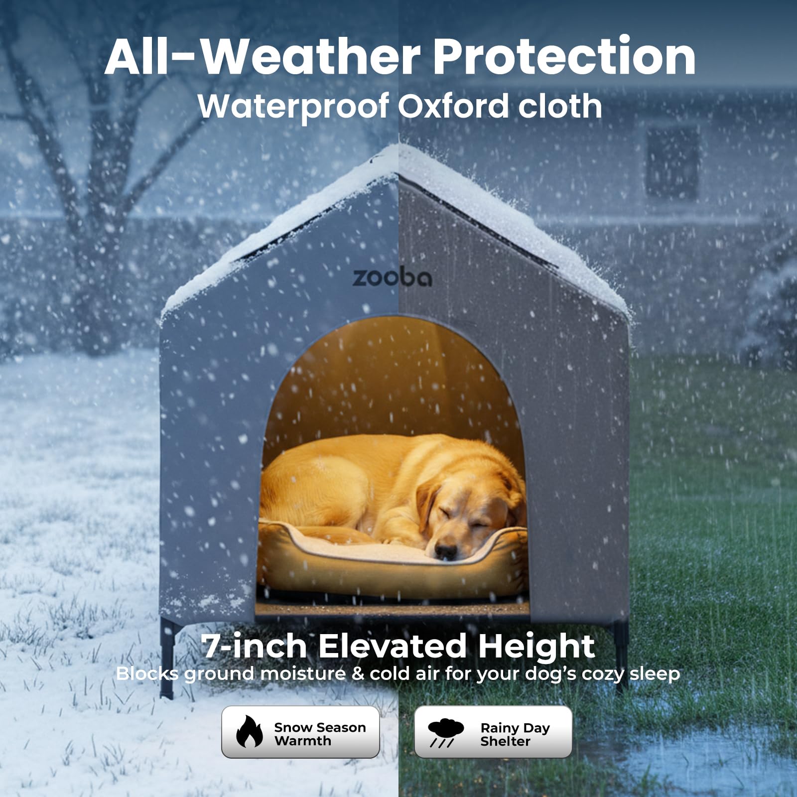 Zooba tool-free assembly view shows quick setup in minutes.